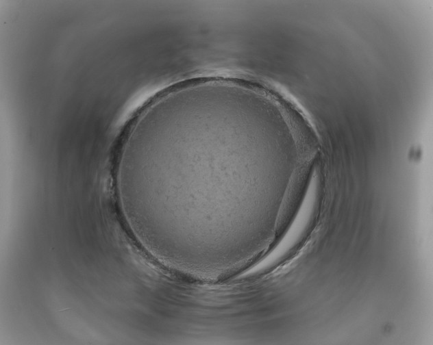 X0000091961215200709061254