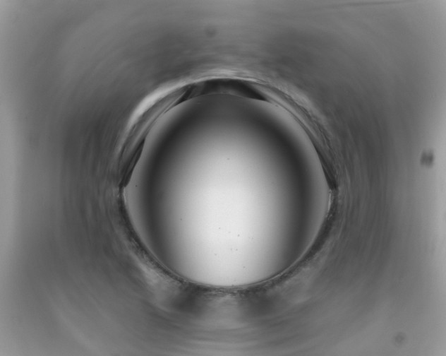 X0000091961222200709061255