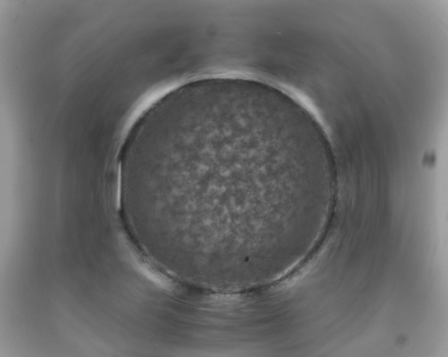 X0000091961223200709061255