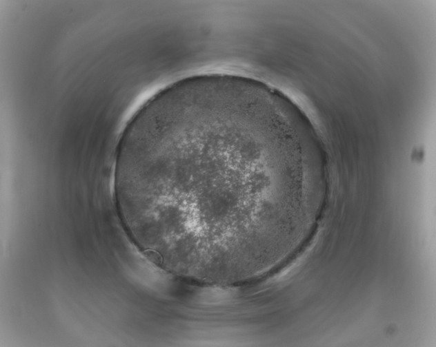 X0000091961224200709061255
