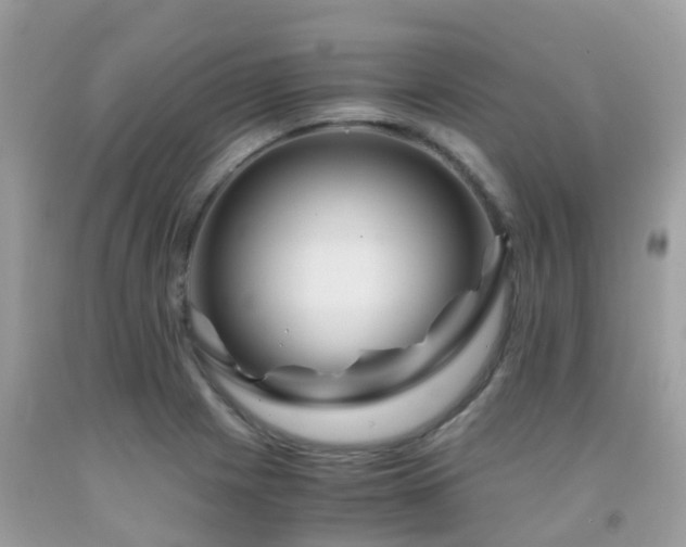 X0000091961225200709061255