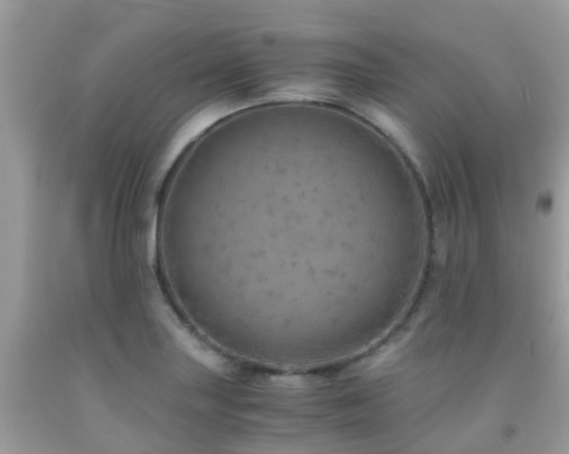 X0000091961227200709061255