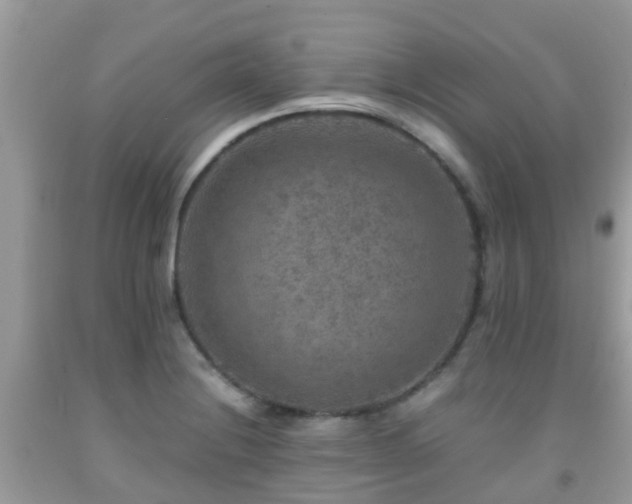 X0000091961228200709061255