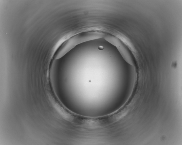 X0000091961234200709061255