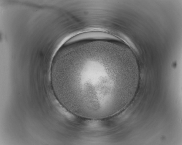 X0000091961236200709061255