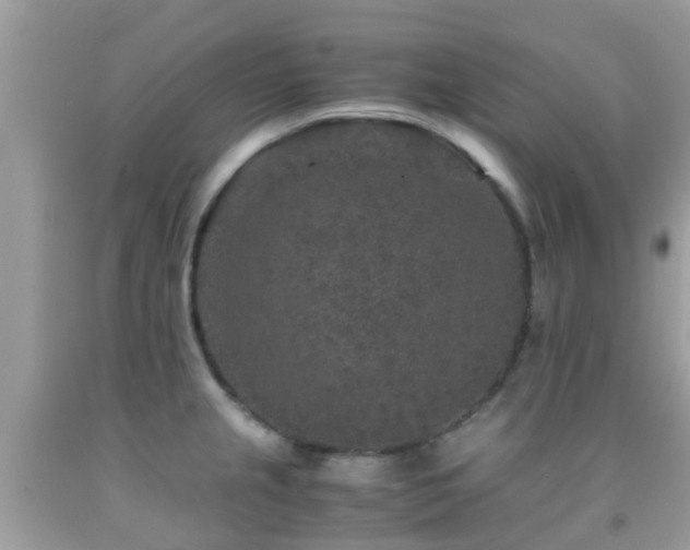 X0000091961237200709061255