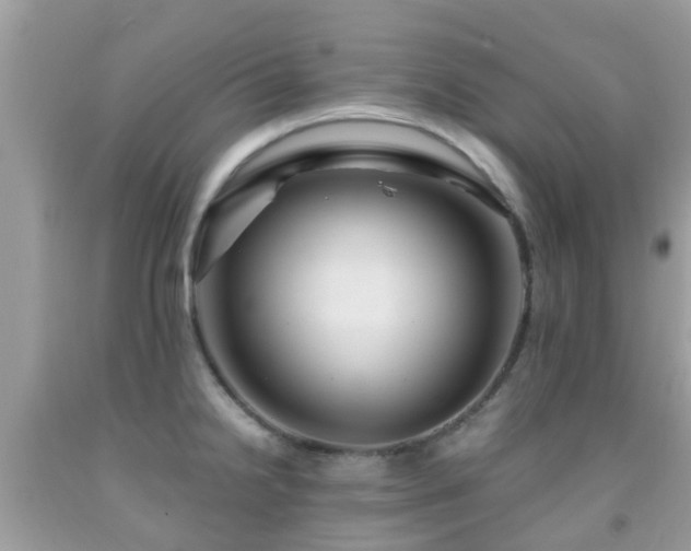 X0000091961238200709061255