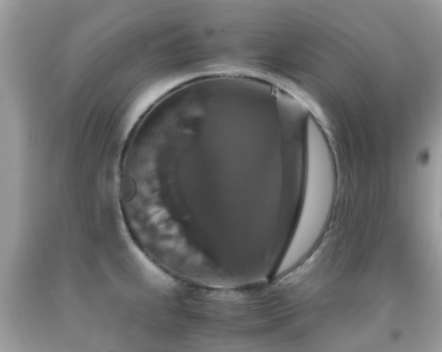 X0000091961239200709061255