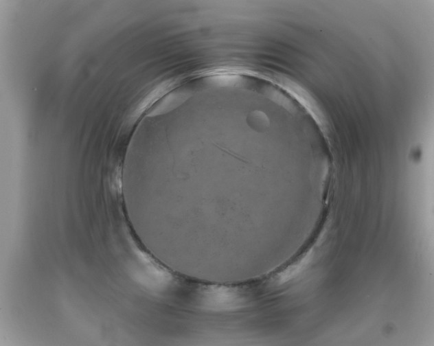 X0000091961241200709061255