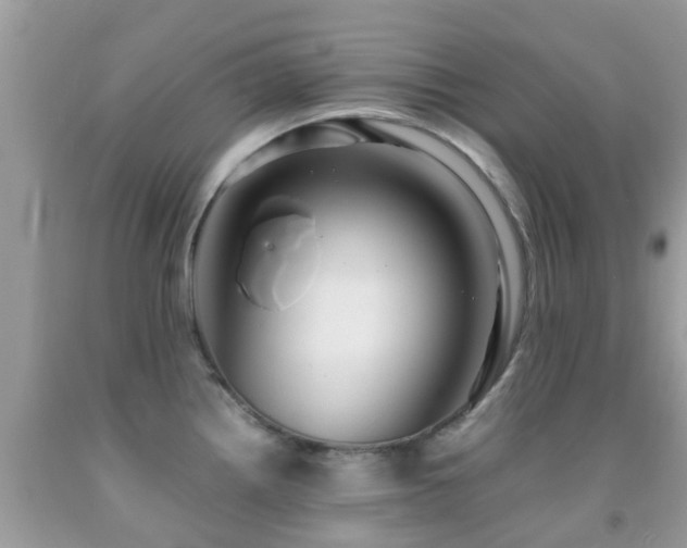 X0000091961242200709061255