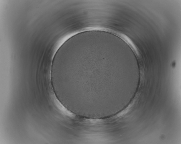 X0000091961244200709061255