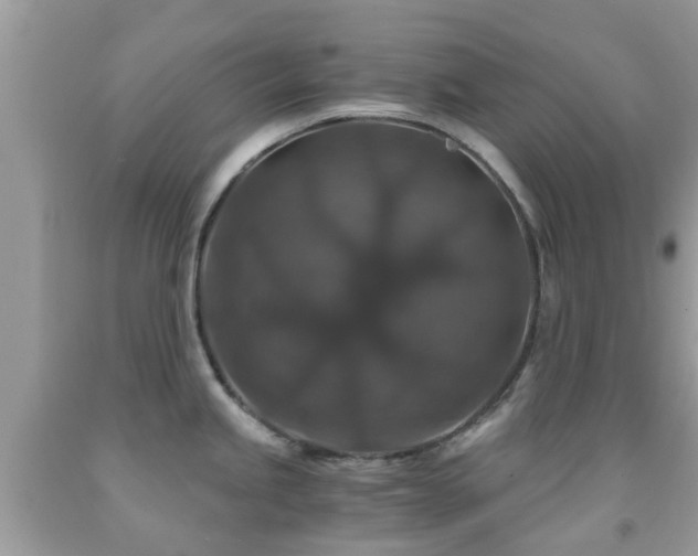 X0000091961245200709061255