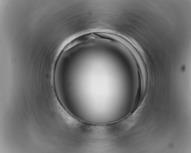 X0000091961246200709061255