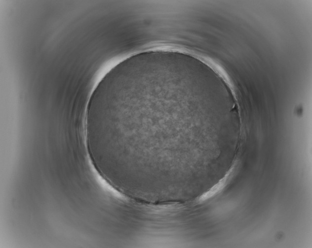 X0000091961247200709061255