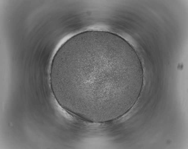 X0000091961248200709061255