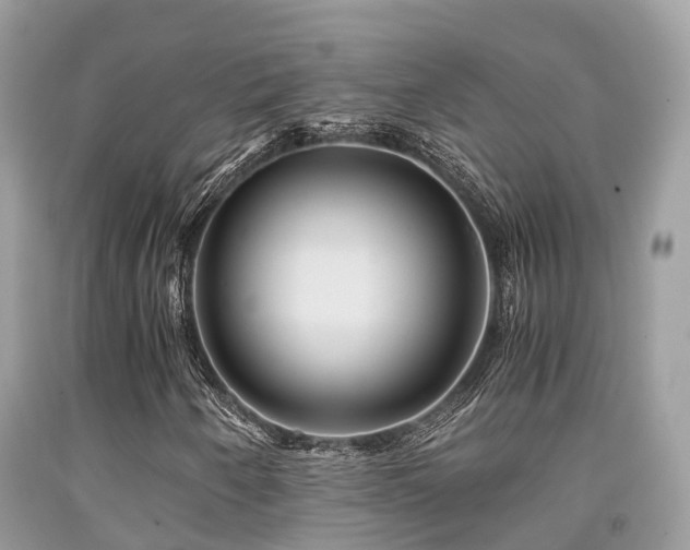 X0000091961250200709061254