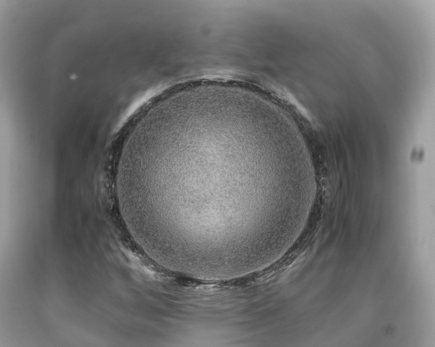 X0000091961256200709061254