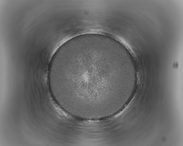 X0000091961260200709061254