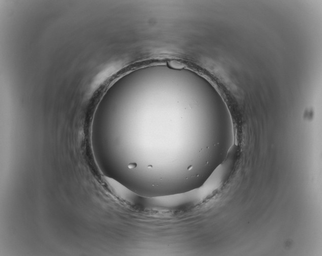 X0000091961261200709061254