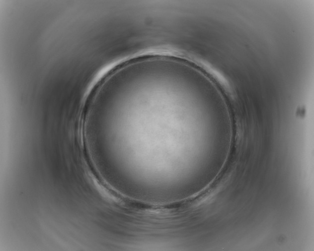 X0000091961272200709061254