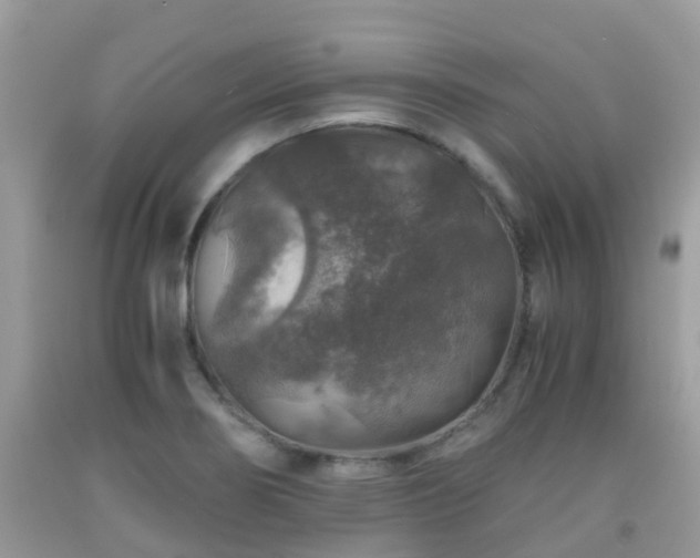 X0000091961274200709061254