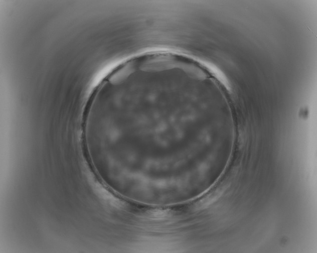 X0000091961279200709061254