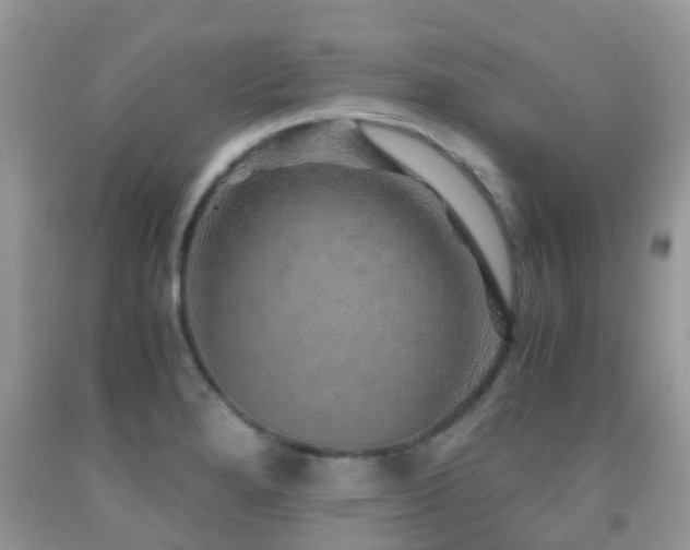 X0000091961280200709061254