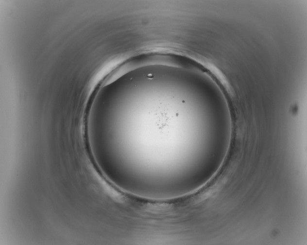 X0000091961285200709061254