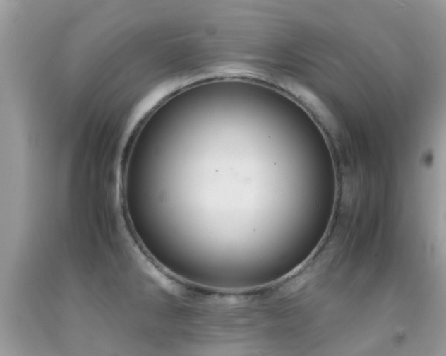 X0000091961286200709061254