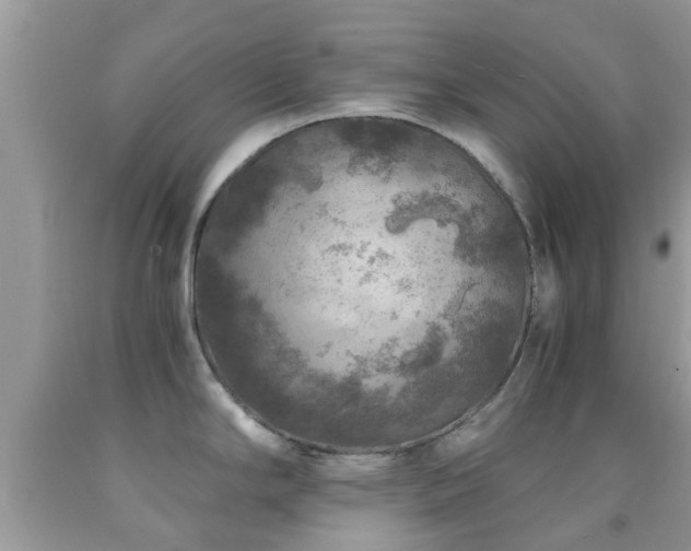 X0000091961294200709061254