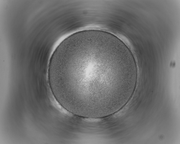 X0000091961296200709061254