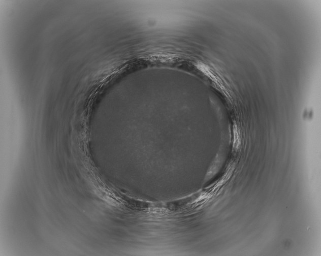 X0000091961297200709061253