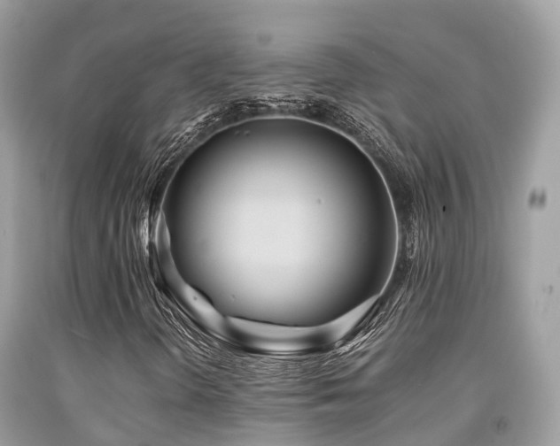 X0000091961298200709061253