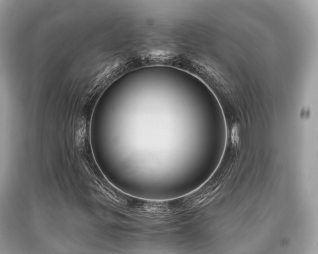 X0000091961299200709061253