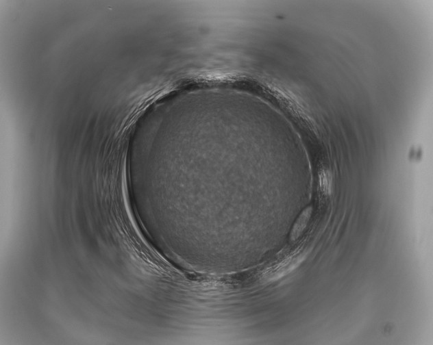 X0000091961300200709061253