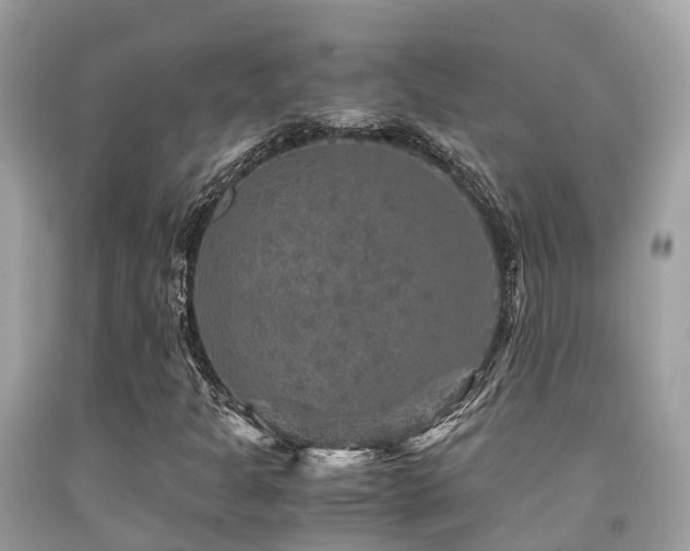 X0000091961301200709061253