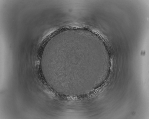 X0000091961302200709061253