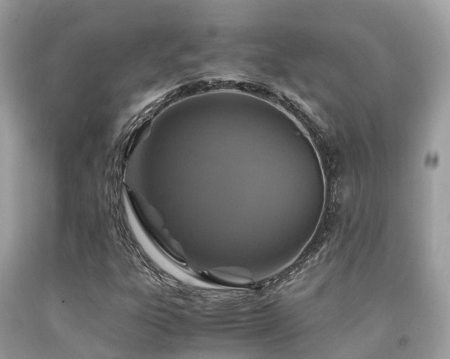 X0000091961303200709061253