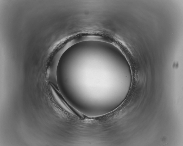 X0000091961304200709061253