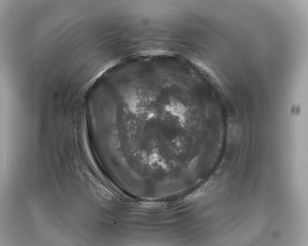 X0000091961305200709061253