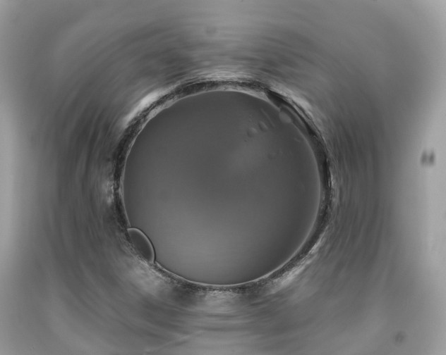 X0000091961306200709061253