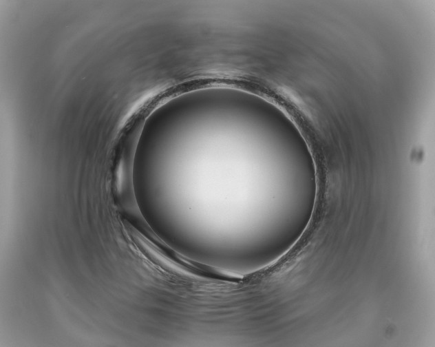 X0000091961307200709061253