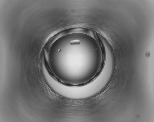 X0000091961308200709061253