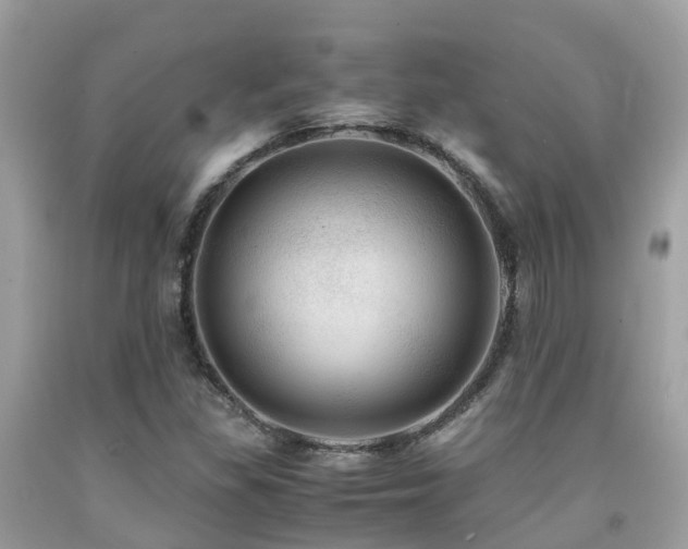 X0000091961309200709061253