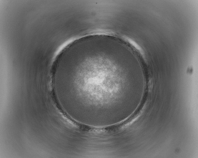 X0000091961310200709061253