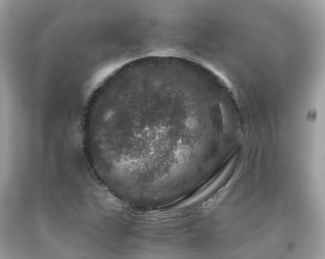X0000091961311200709061253