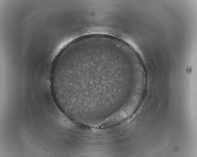 X0000091961312200709061253