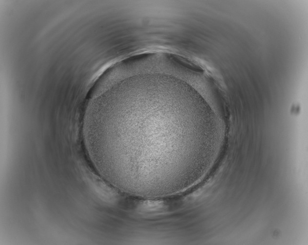 X0000091961313200709061253