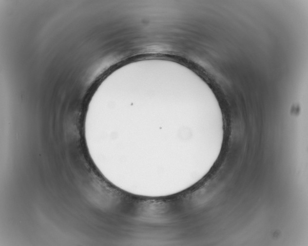 X0000091961314200709061253