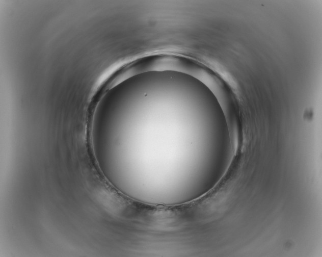 X0000091961316200709061253